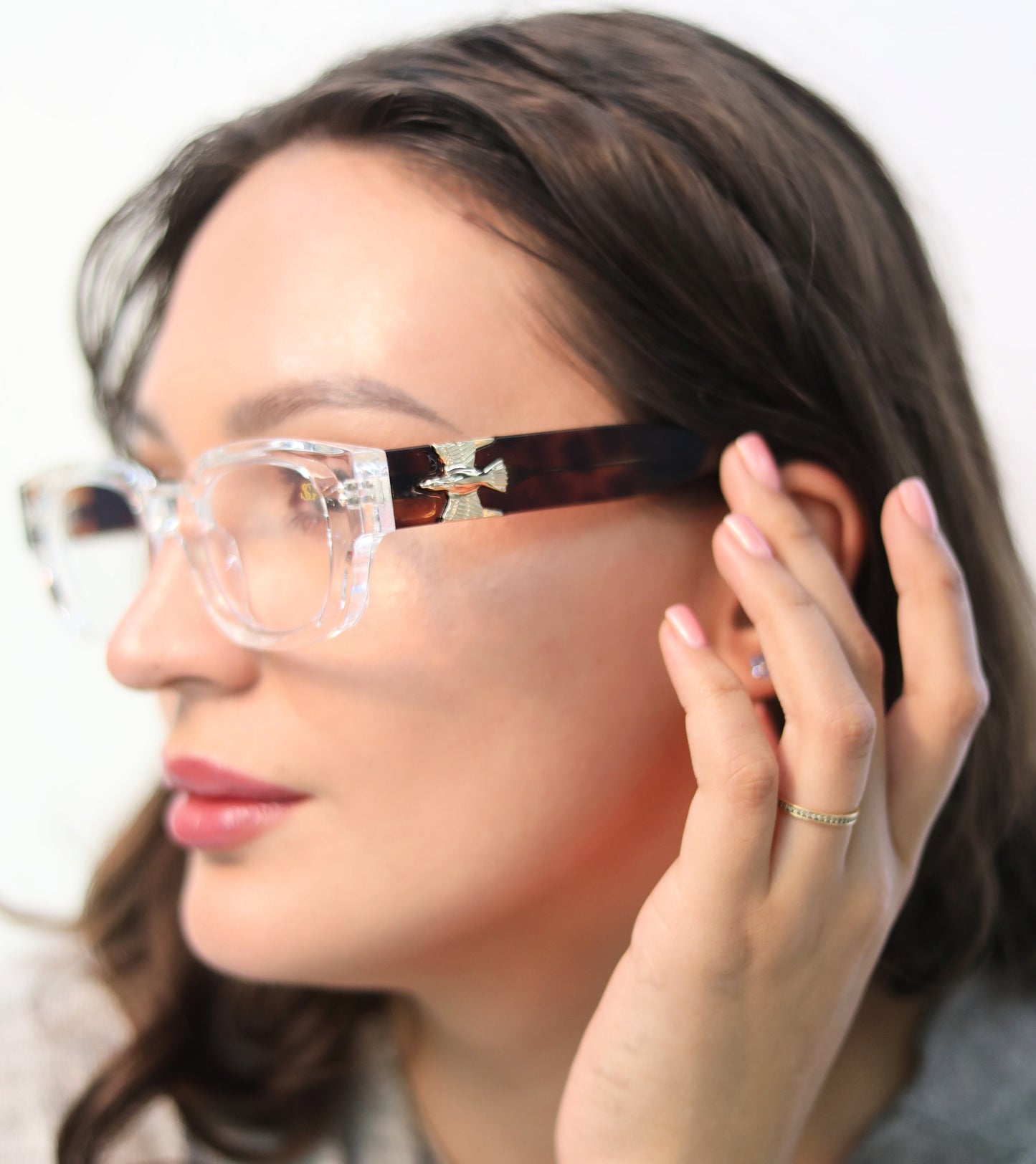 جوتشه دي اليجانتزا